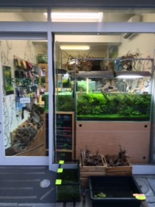 水草屋ー極ー
