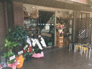 第二弾　水草屋～極～