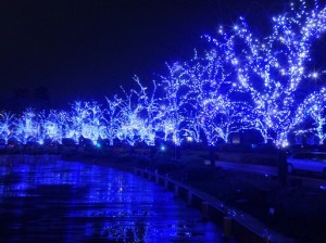 Merry Christmas♡