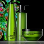 shu uemura art of hair（ｼｭｳ ｳｴﾑﾗ ｱｰﾄ ｵﾌﾞ ﾍｱ）始めました！